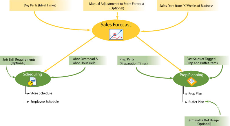 Sales-Forecast-Org-Chart